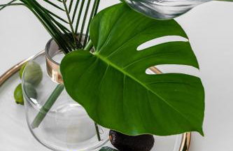 Apartament Ap175 - Photo 14