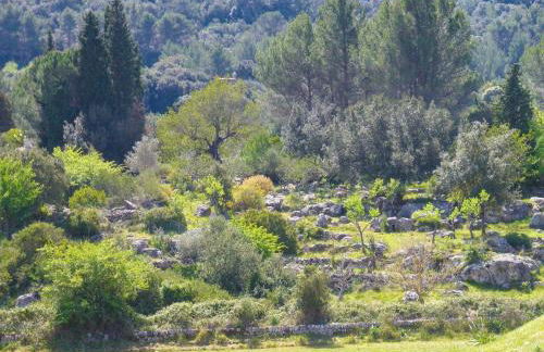 Can Company - Foto 46