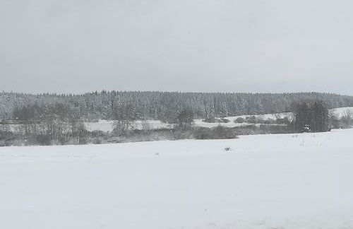 Ferienwohnung Hasenfratz - Foto 33