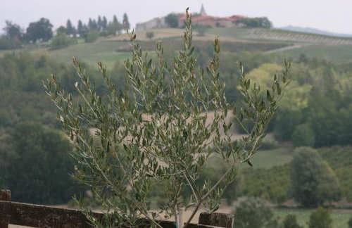 Cascina Fazioli B&B - Foto 24