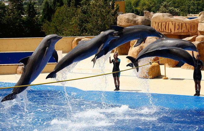 Marineland Catalunya - Foto 2