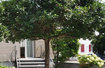 Villa Kubus - Foto 16