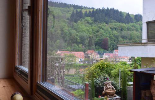 Nichtraucherferienwohnung-Neckarblick ZE-2022-74-WZ-118A - Foto 17