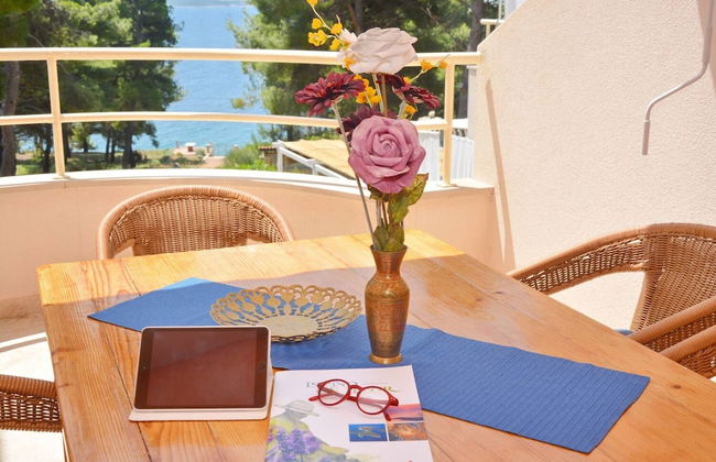 Dino - Gorgeous Garden - SA1 Zavala - Photo 13