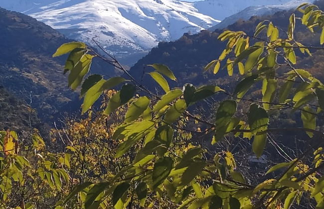 Casa Rural Arroyo de la Greda - Photo 45