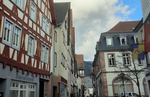 Altstadthäuschen mit charm , nähe Heidelberg castle, Neckarufer - Photo 36