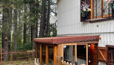 La Veranda nella Neve - Camigliatello Silano - Foto 3