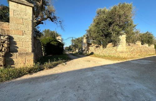 La Petraia - Foto 10