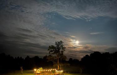 Calma House Ublik - Foto 14