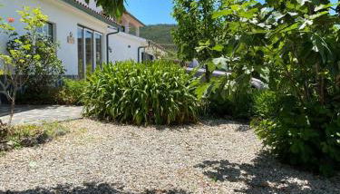 Casa-Estaro - Foto 5, Garden