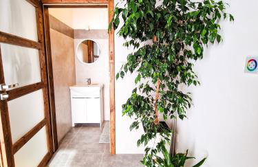 GraVelo - Apartament Jacuzzi - Foto 7