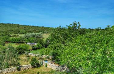Villa Dvori Dida Mile - Foto 71