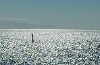 LAS OLAS ATICO PENHOUSE with TERRACE and SEA VIEW, 2 bedrooms - Foto 62