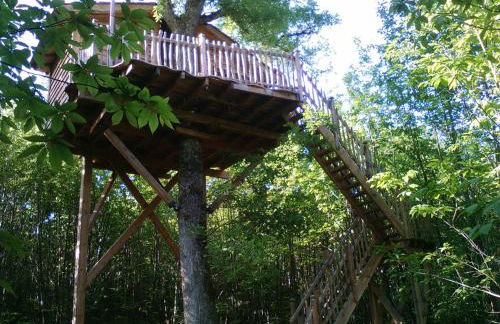 Ô bois dormant - Foto 77