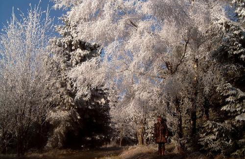 Haus Edelweiss Comfortable holiday residence - Foto 25