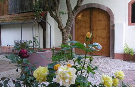 Ferienwohnungen Altes Rathaus - Foto 4