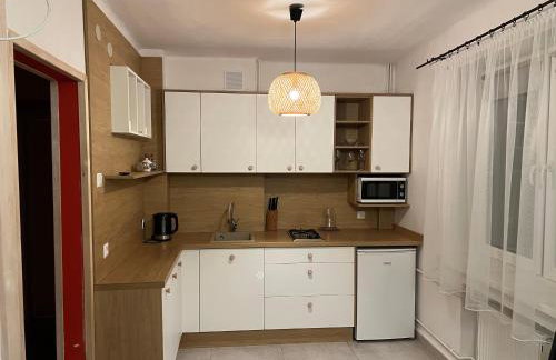 Agroturystyka Bliźniaczek - Foto 39