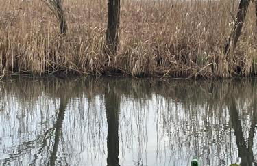 A Casa di Bruna - Foto 47