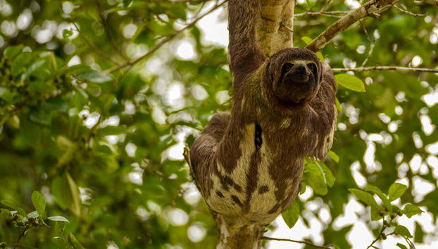 Yanayacu River 6-day Trip - Foto 3