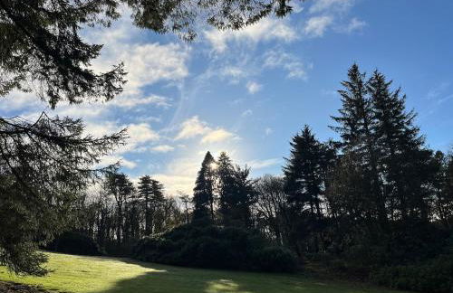 Lovely Carlung House - Foto 15