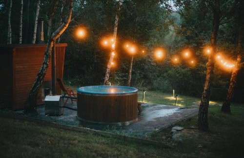 Domki W Sam Las & SPA Lubenia - Foto 5