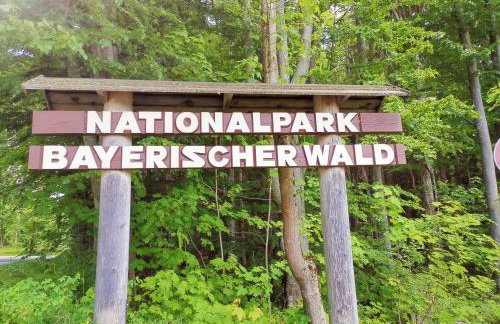 Ferienwohnungen Kremser bei Spiegelau Eppenschlag - Foto 54