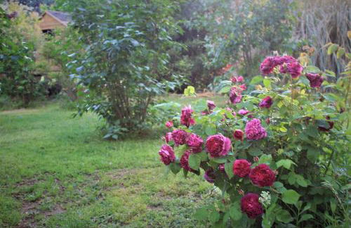 Gites le Pimayon - Foto 49