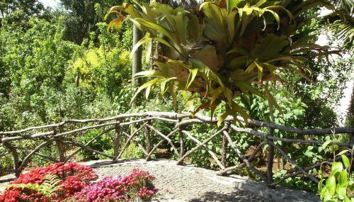 Casa Rosa - Foto 3, Garden