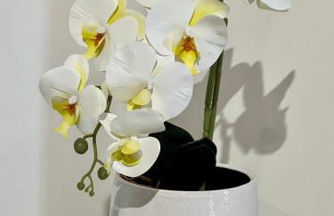 Venice Lucky House - Foto 47