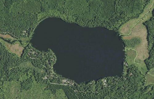 Gresham Shores-Hungry Bear - Foto 22