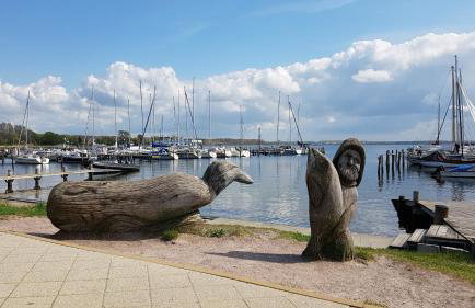 Ferienhaus an der Ostsee - Foto 19