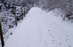Ferienwohnung Müller - Foto 6