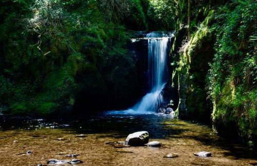 Erholung an den Wasserfällen - Ferienwohnung in Baden-Baden - Stilvolles Apartment mit Terrasse, Parkplatz & ruhiger Lage - Foto 44