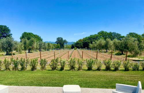 Agriturismo Re di Fiori - Foto 55