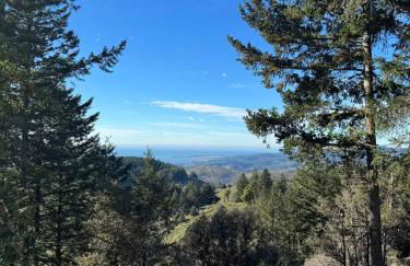 Apartment w hot tub forest & ocean view - Foto 31