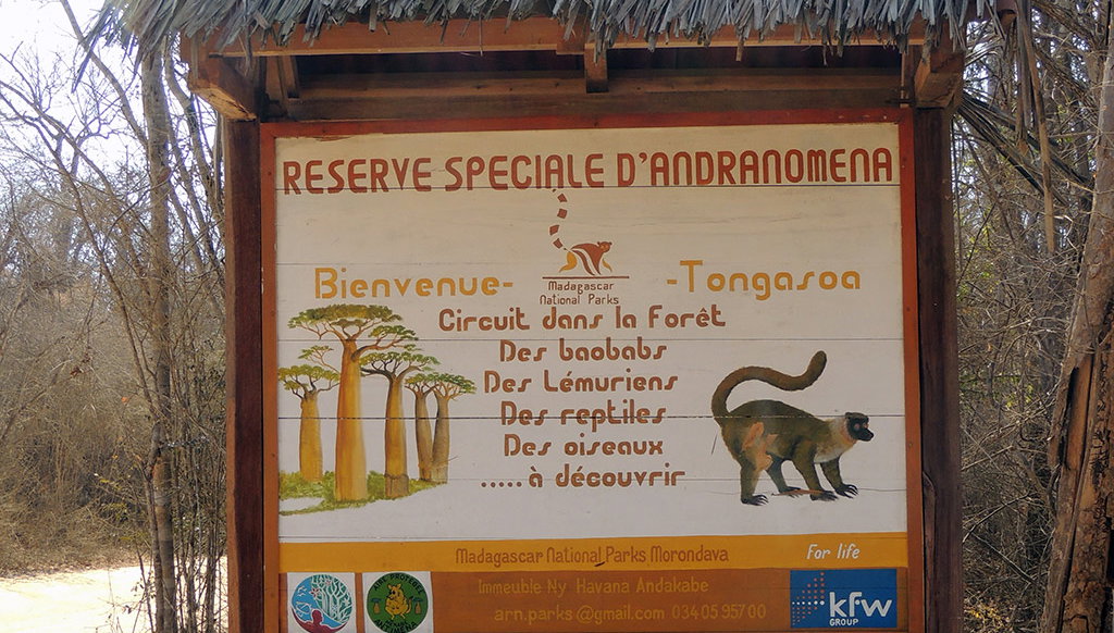Andranomena Special Reserve - Photo 1