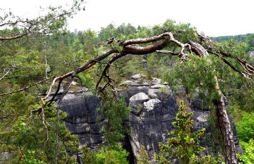 Cosis Ferienwohnung - Foto 44