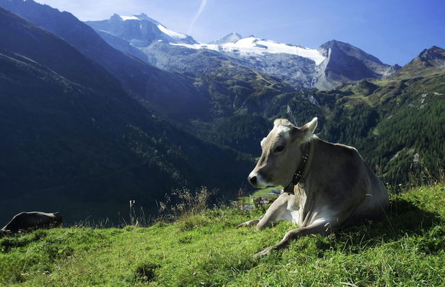 Vintage Apartment in Fügen near Ski Area - Foto 33