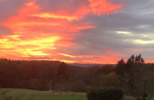 Wohlfühloase am Michelsberg - Foto 22