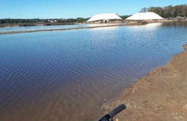 Ria Formosa Pineview - Foto 11