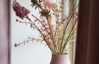 Mein Nordstern - Foto 11