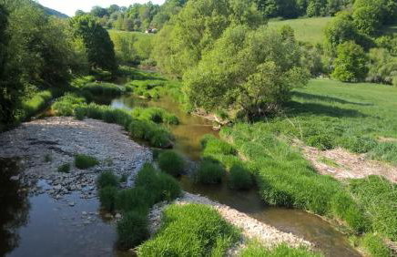 Ferienidyll Aumühle "Muswiese" - Foto 49