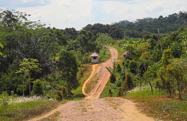 Tour de aventura em Iquitos - Foto 1
