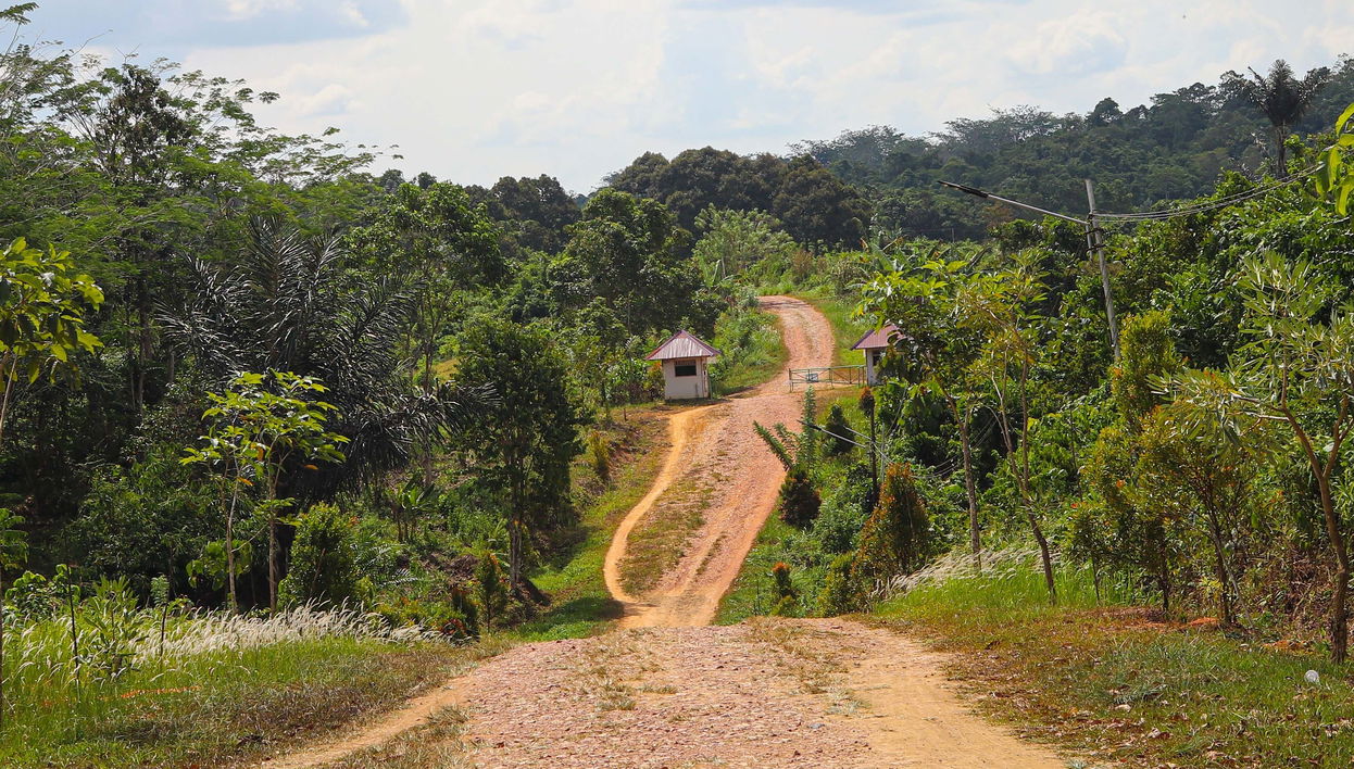 Tour de aventura em Iquitos
