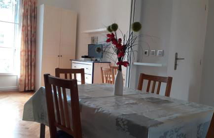 Apartment Palais de Coppet - Foto 19