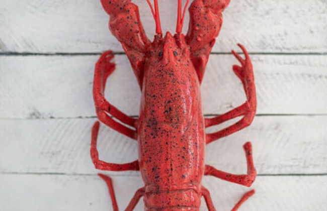 Frisian House Norderney - Foto 23