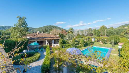 Hibiscus in Sa Pobla - Foto 5