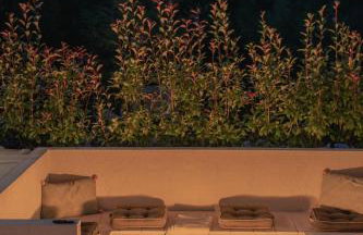 ARGENTO RESIDENCE - Foto 55