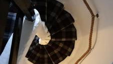 Lickleyhead Castle - Foto 4