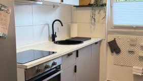 Komfort-Apartment für Geschäfts- & Städtereisen - Foto 4